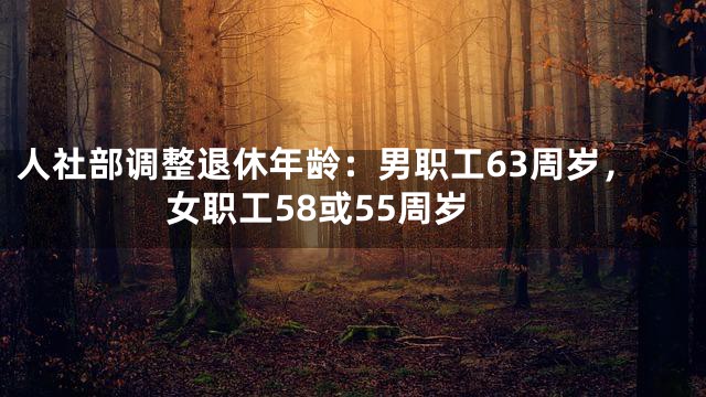 人社部调整退休年龄：男职工63周岁，女职工58或55周岁