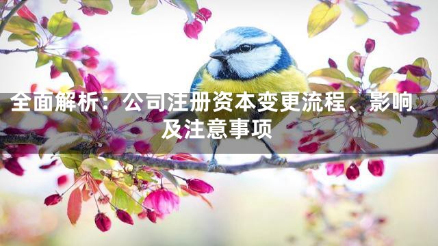 全面解析：公司注册资本变更流程、影响及注意事项