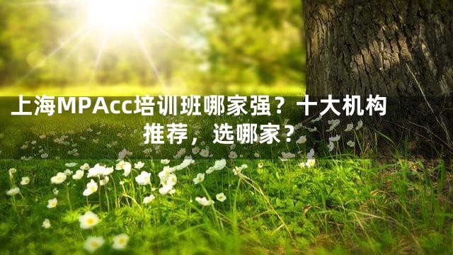 上海MPAcc培训班哪家强？十大机构推荐，选哪家？