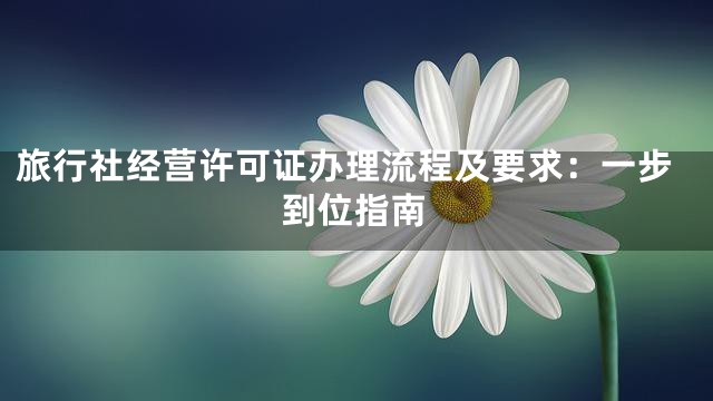 旅行社经营许可证办理流程及要求：一步到位指南