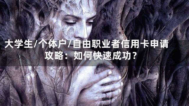 大学生/个体户/自由职业者信用卡申请攻略：如何快速成功？