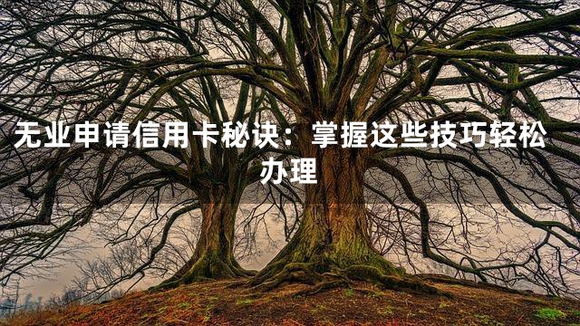 无业申请信用卡秘诀：掌握这些技巧轻松办理