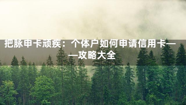 把脉申卡顽疾：个体户如何申请信用卡——攻略大全