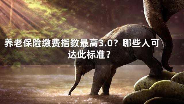 养老保险缴费指数最高3.0？哪些人可达此标准？