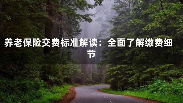 养老保险交费标准解读：全面了解缴费细节