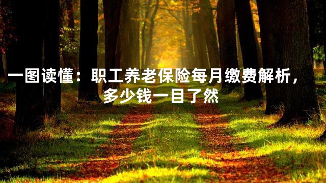 一图读懂：职工养老保险每月缴费解析，多少钱一目了然