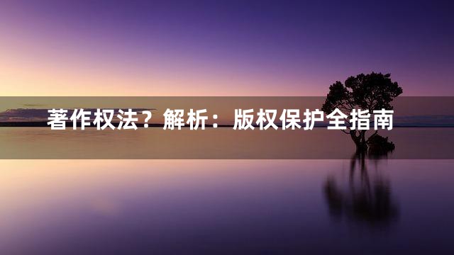 著作权法？解析：版权保护全指南