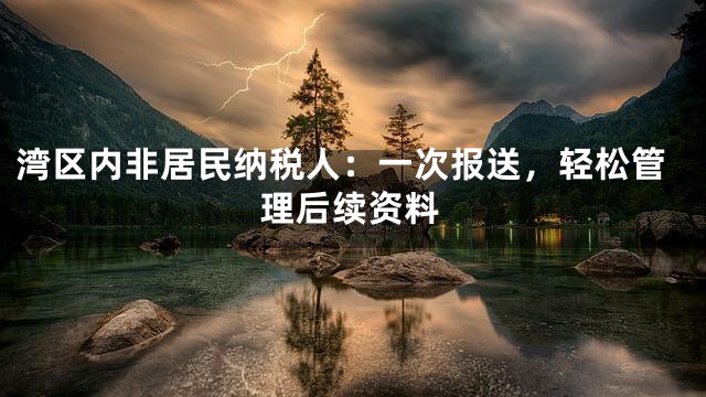 湾区内非居民纳税人：一次报送，轻松管理后续资料