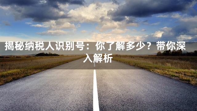 揭秘纳税人识别号：你了解多少？带你深入解析