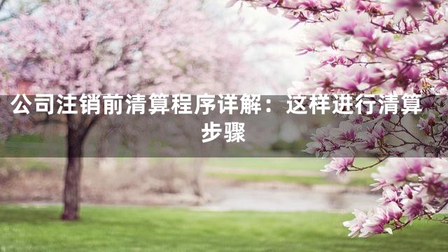 公司注销前清算程序详解：这样进行清算步骤