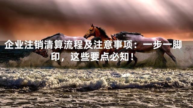 企业注销清算流程及注意事项：一步一脚印，这些要点必知！