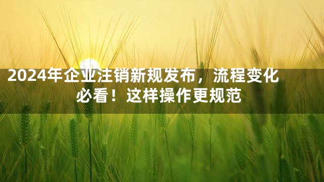 2024年企业注销新规发布，流程变化必看！这样操作更规范