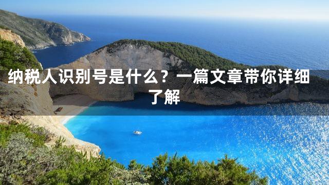 纳税人识别号是什么？一篇文章带你详细了解