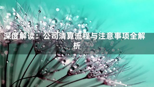 深度解读：公司清算流程与注意事项全解析