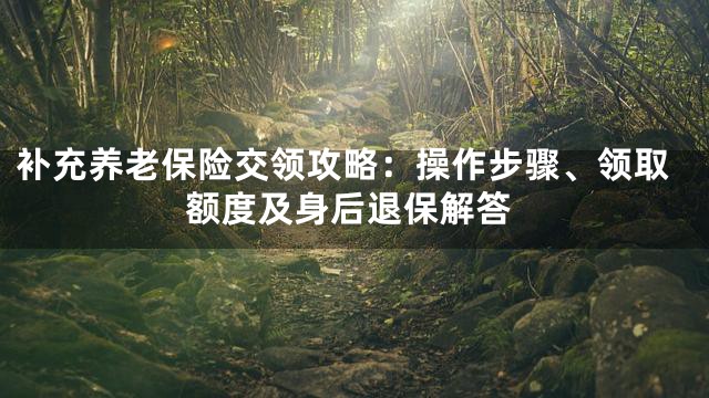 补充养老保险交领攻略：操作步骤、领取额度及身后退保解答