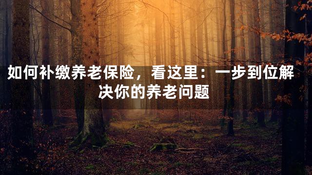 如何补缴养老保险，看这里：一步到位解决你的养老问题