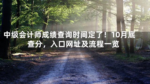中级会计师成绩查询时间定了！10月底查分，入口网址及流程一览