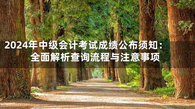 2024年中级会计考试成绩公布须知：全面解析查询流程与注意事项