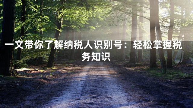 一文带你了解纳税人识别号：轻松掌握税务知识