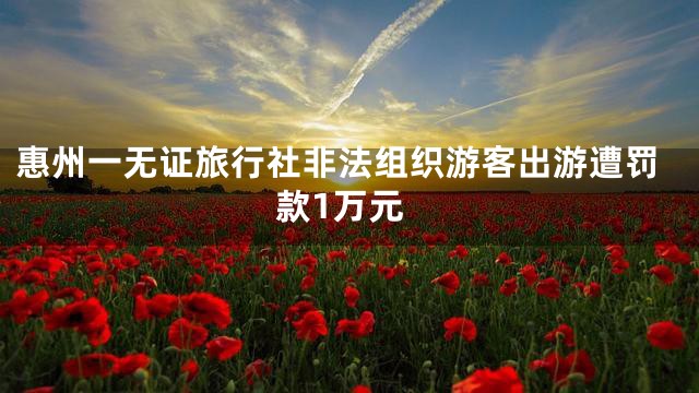 惠州一无证旅行社非法组织游客出游遭罚款1万元