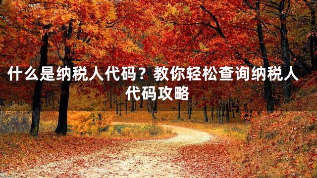 什么是纳税人代码？教你轻松查询纳税人代码攻略
