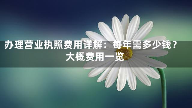 办理营业执照费用详解：每年需多少钱？大概费用一览