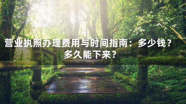 营业执照办理费用与时间指南：多少钱？多久能下来？