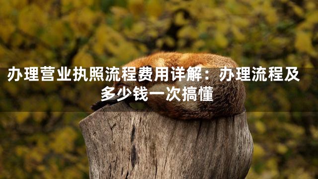 办理营业执照流程费用详解：办理流程及多少钱一次搞懂