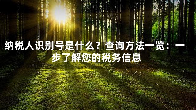纳税人识别号是什么？查询方法一览：一步了解您的税务信息
