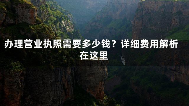办理营业执照需要多少钱？详细费用解析在这里