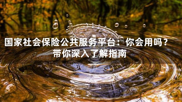 国家社会保险公共服务平台：你会用吗？带你深入了解指南