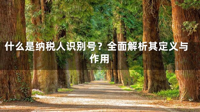 什么是纳税人识别号？全面解析其定义与作用