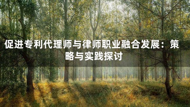 促进专利代理师与律师职业融合发展：策略与实践探讨
