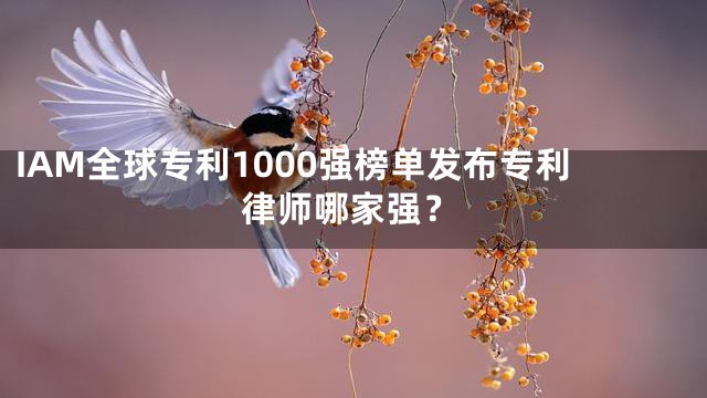 IAM全球专利1000强榜单发布专利律师哪家强？