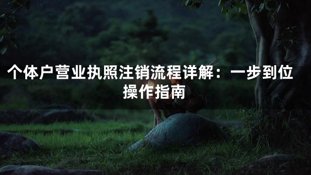 个体户营业执照注销流程详解：一步到位操作指南
