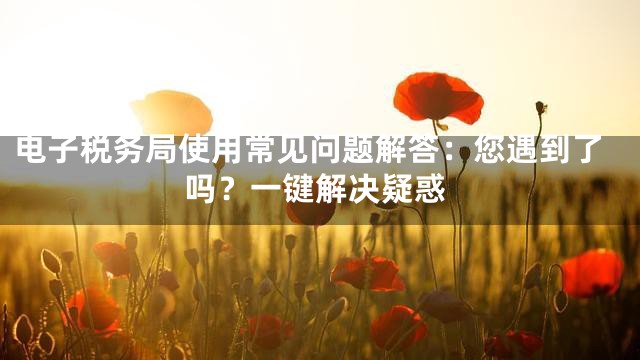 电子税务局使用常见问题解答：您遇到了吗？一键解决疑惑