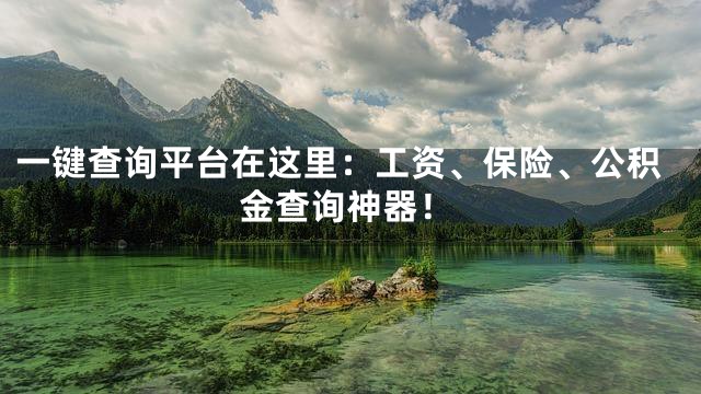 一键查询平台在这里：工资、保险、公积金查询神器！