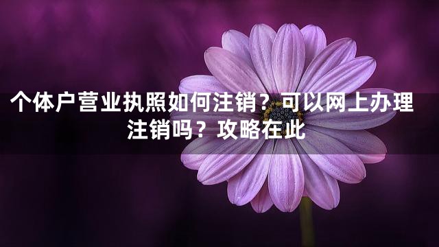 个体户营业执照如何注销？可以网上办理注销吗？攻略在此