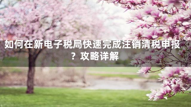 如何在新电子税局快速完成注销清税申报？攻略详解