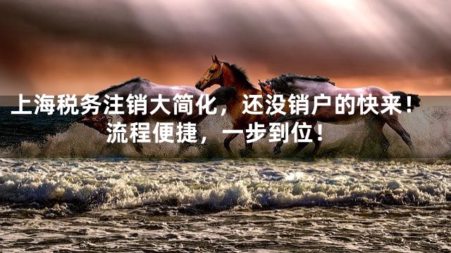 上海税务注销大简化，还没销户的快来！流程便捷，一步到位！