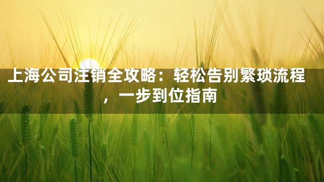 上海公司注销全攻略：轻松告别繁琐流程，一步到位指南