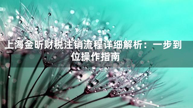 上海金昕财税注销流程详细解析：一步到位操作指南