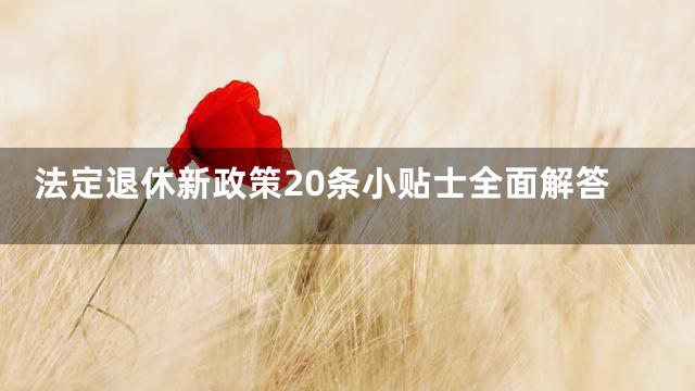法定退休新政策20条小贴士全面解答