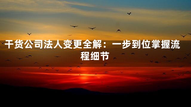 干货公司法人变更全解：一步到位掌握流程细节