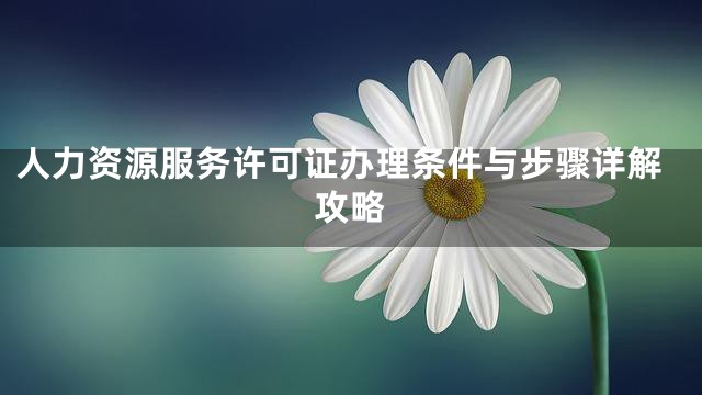 人力资源服务许可证办理条件与步骤详解攻略