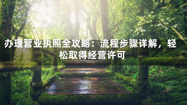 办理营业执照全攻略：流程步骤详解，轻松取得经营许可
