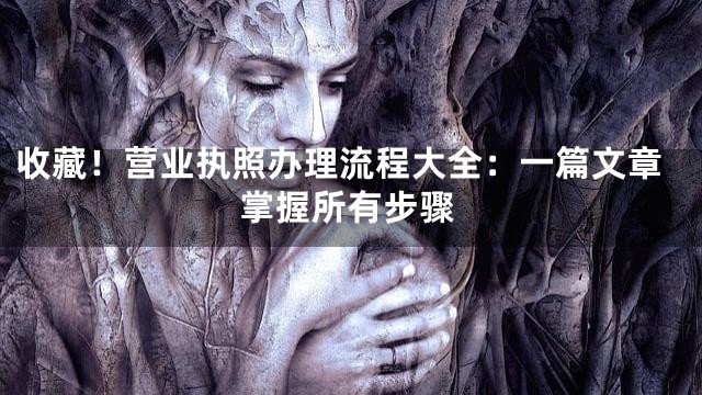 收藏！营业执照办理流程大全：一篇文章掌握所有步骤