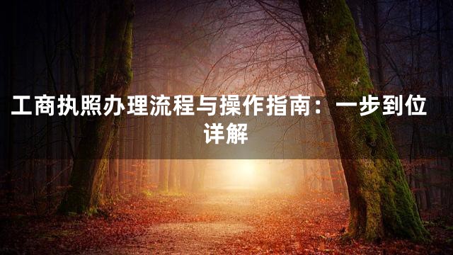 工商执照办理流程与操作指南：一步到位详解