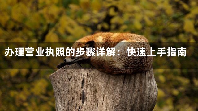 办理营业执照的步骤详解：快速上手指南