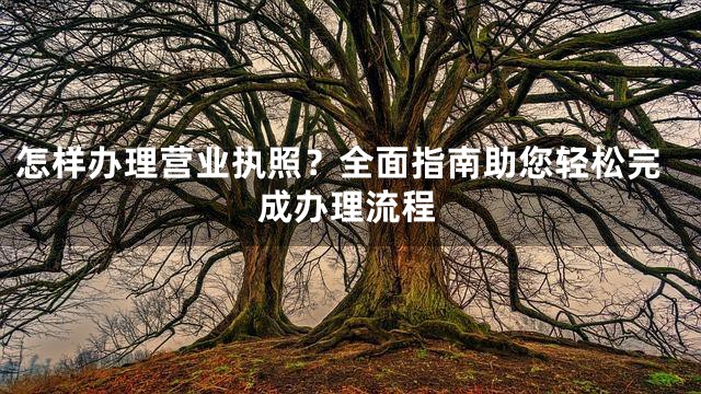 怎样办理营业执照？全面指南助您轻松完成办理流程